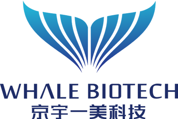 北京京宇一美-注射器活塞推力測試儀合作